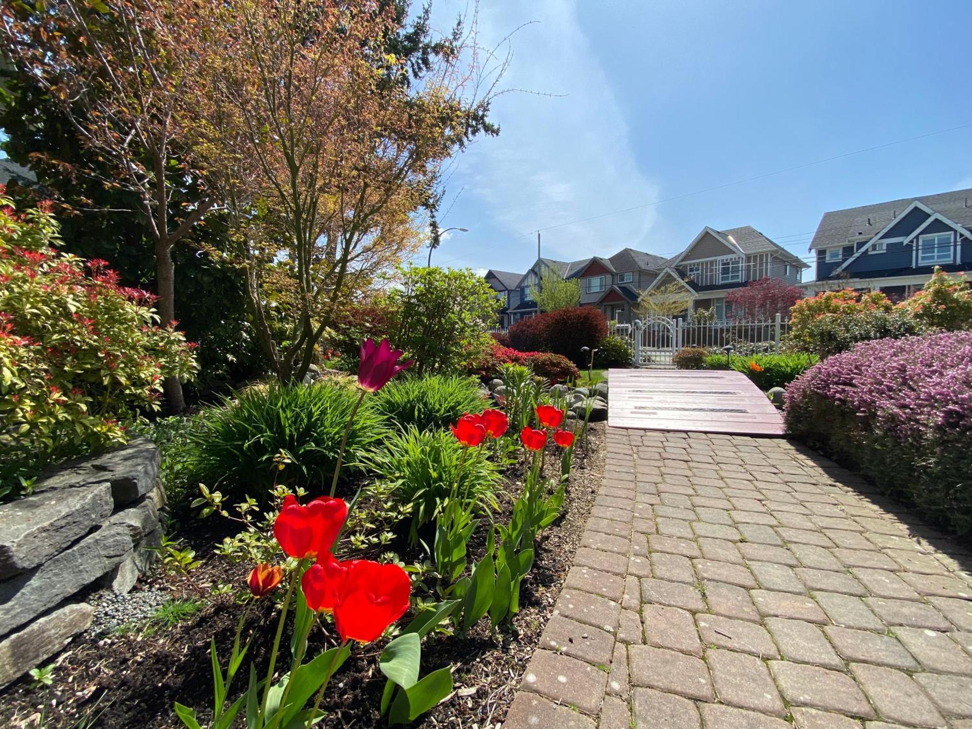 Mae Sweet Home Surrey Dış mekan fotoğraf