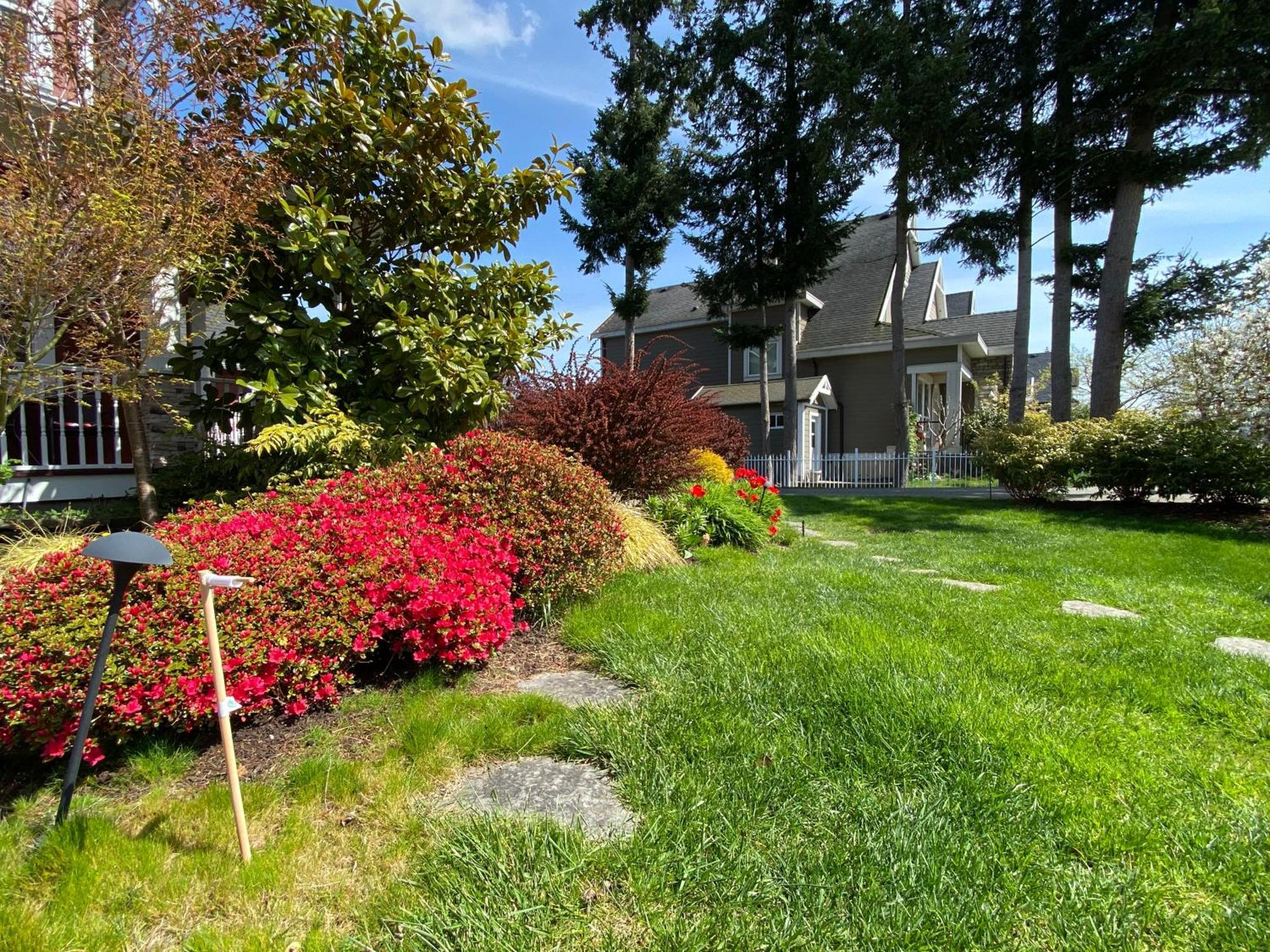 Mae Sweet Home Surrey Dış mekan fotoğraf